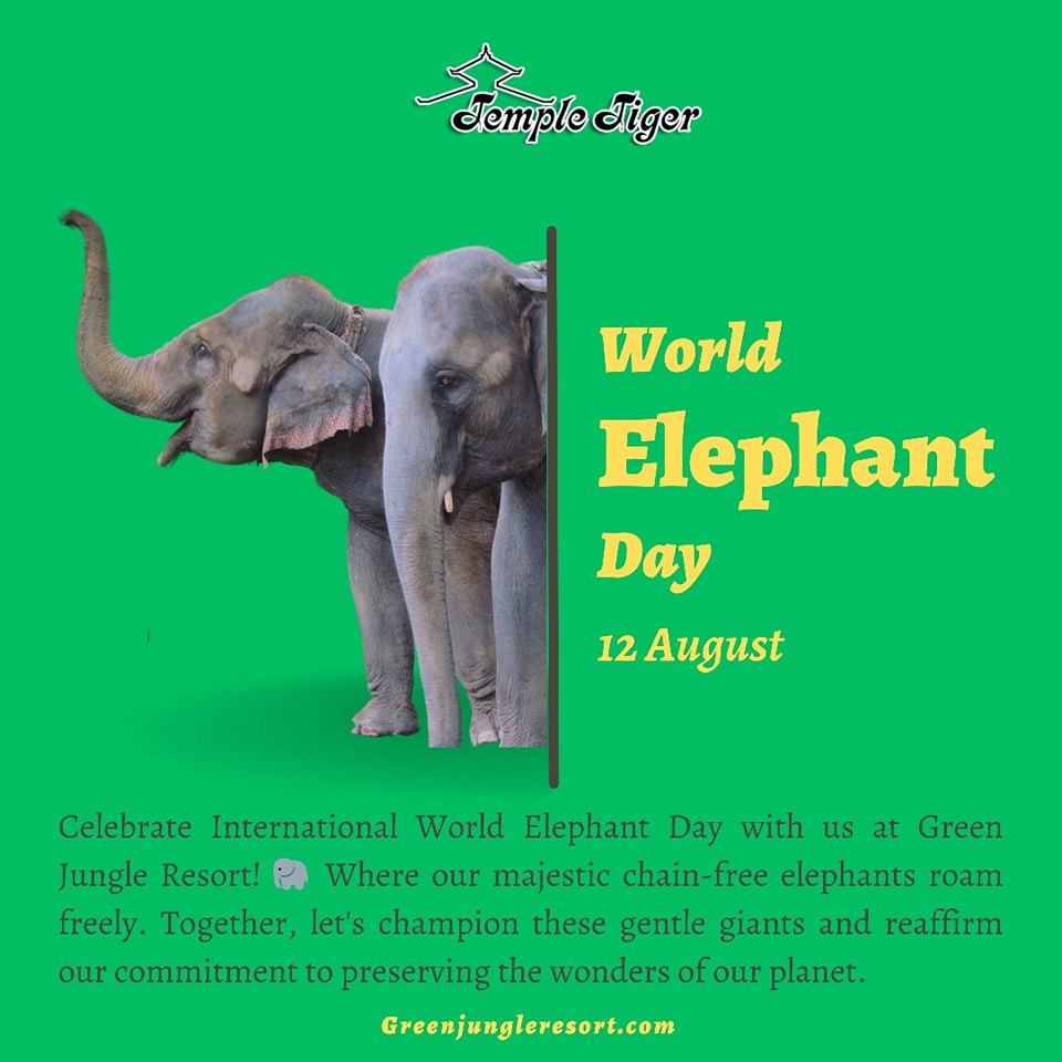 Happy Elephant Day from Venture Travel