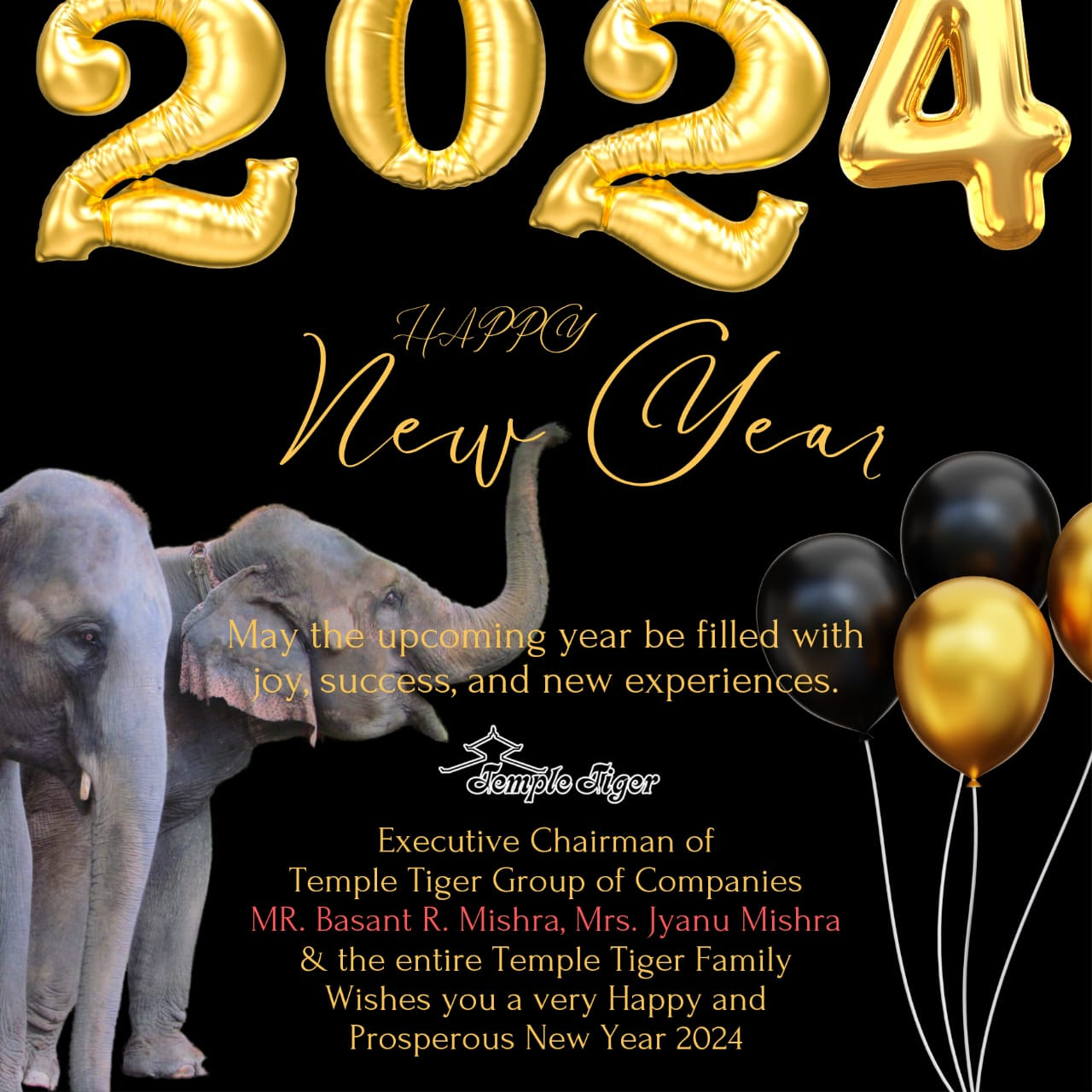 Cheers to a Year of Possibilities: Happy New Year 2024